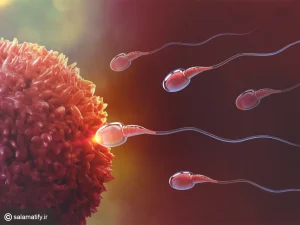 تصویر مقاله