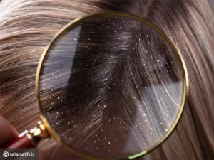 تصویر مقاله